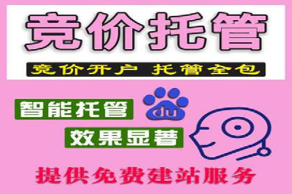 某行业sem优化托管的成功经验分享